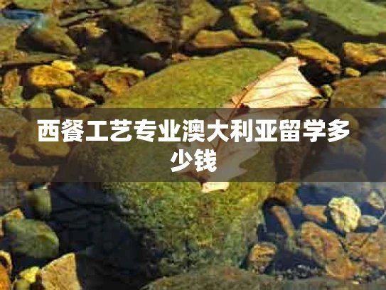 西餐工艺专业澳大利亚留学多少钱