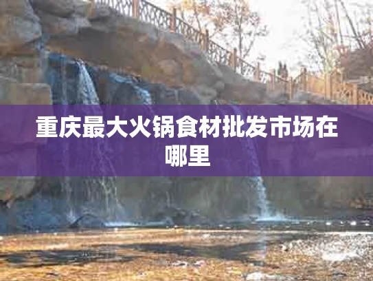 重庆最大火锅食材批发市场在哪里