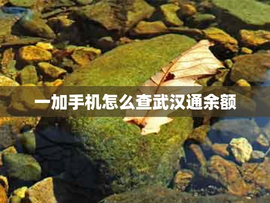 一加手机怎么查武汉通余额
