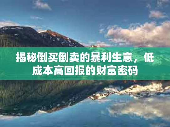 揭秘倒买倒卖的暴利生意，低成本高回报的财富密码