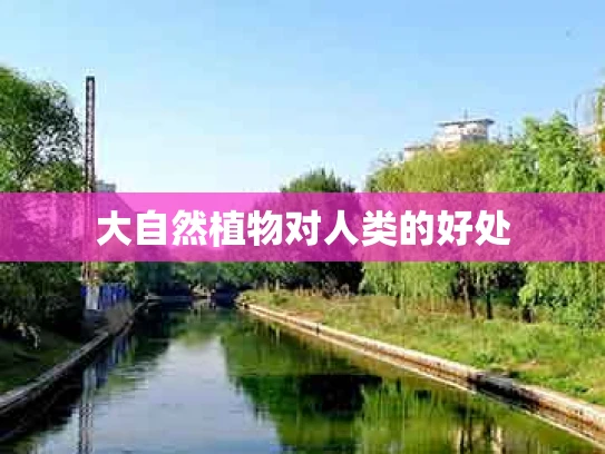 大自然植物对人类的好处