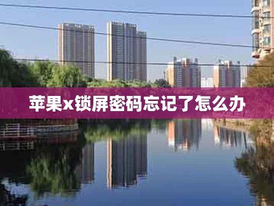 苹果x锁屏密码忘记了怎么办