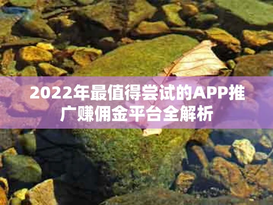 2022年最值得尝试的APP推广赚佣金平台全解析