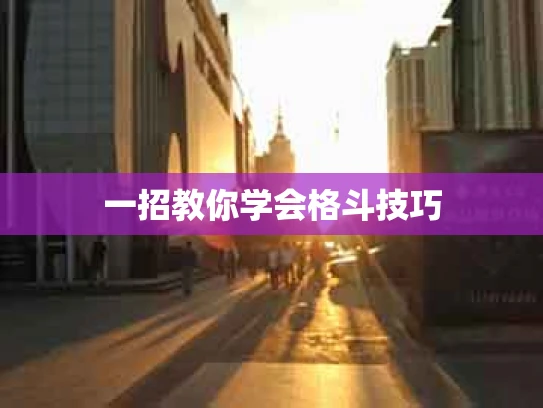 一招教你学会格斗技巧
