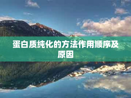 蛋白质纯化的方法作用顺序及原因