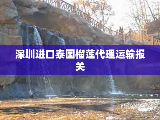 深圳进口泰国榴莲代理运输报关