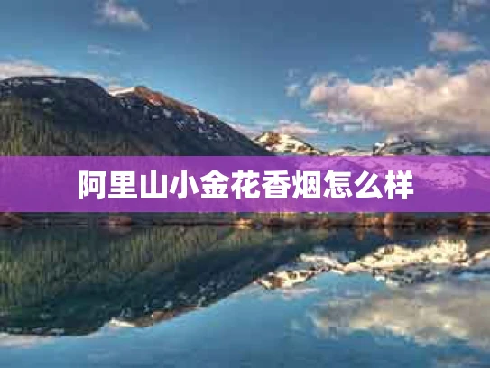 阿里山小金花香烟怎么样