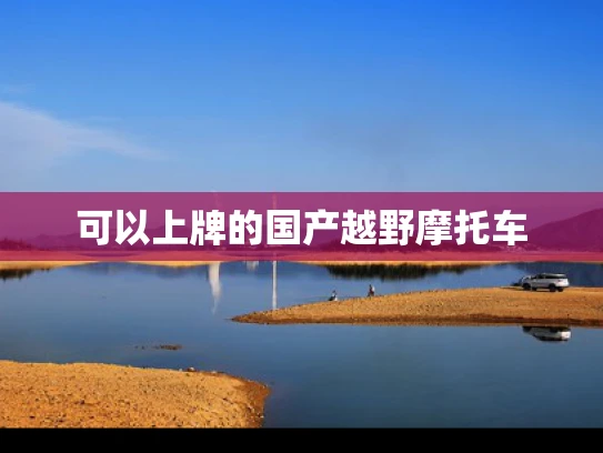 可以上牌的国产越野摩托车