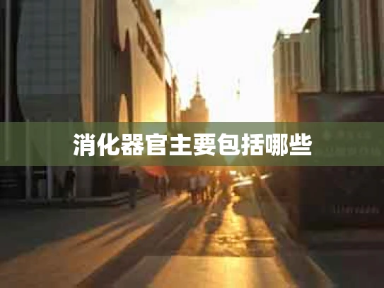 消化器官主要包括哪些
