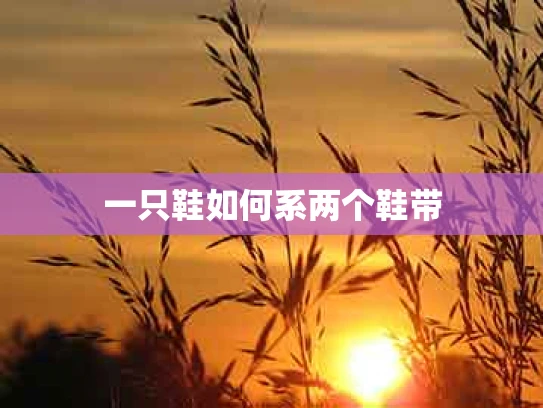 一只鞋如何系两个鞋带