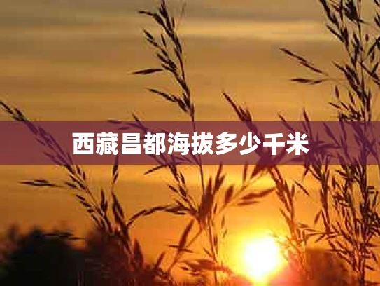 西藏昌都海拔多少千米