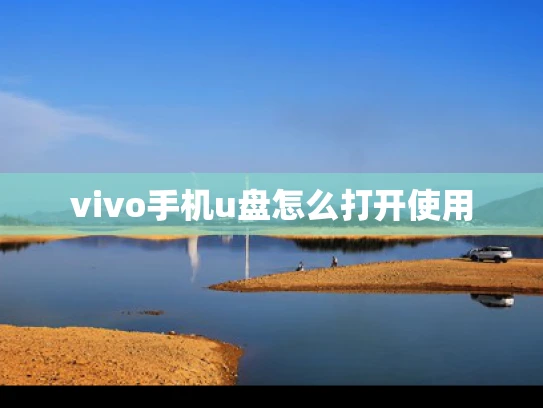 vivo手机u盘怎么打开使用