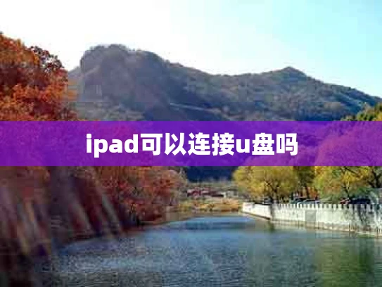 ipad可以连接u盘吗