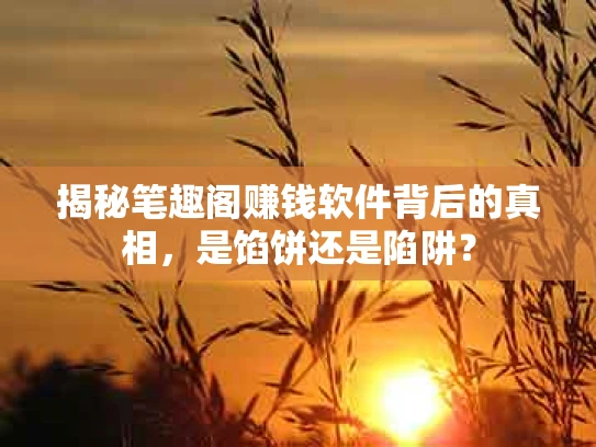 揭秘笔趣阁赚钱软件背后的真相，是馅饼还是陷阱？