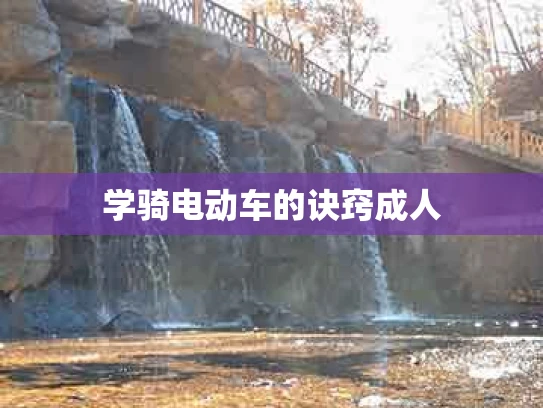 学骑电动车的诀窍成人