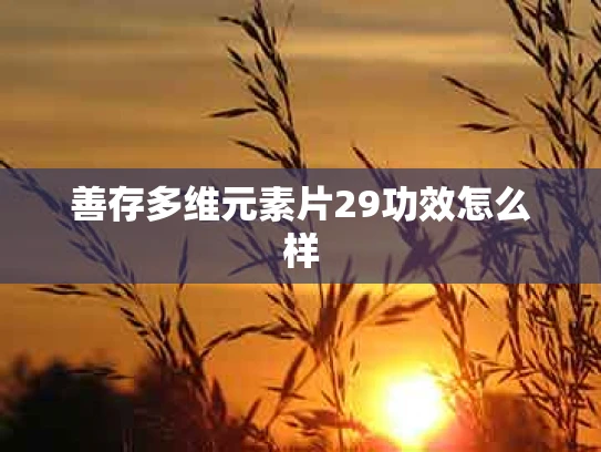 善存多维元素片29功效怎么样