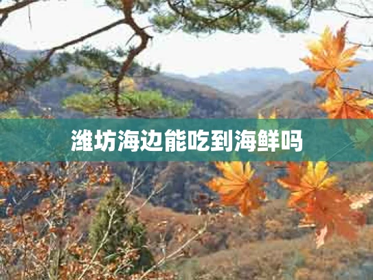 潍坊海边能吃到海鲜吗