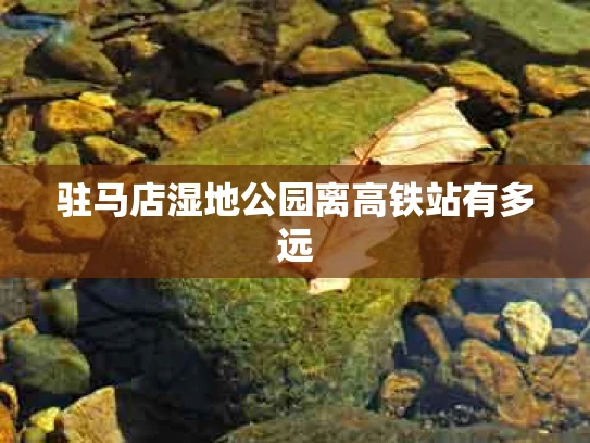 驻马店湿地公园离高铁站有多远