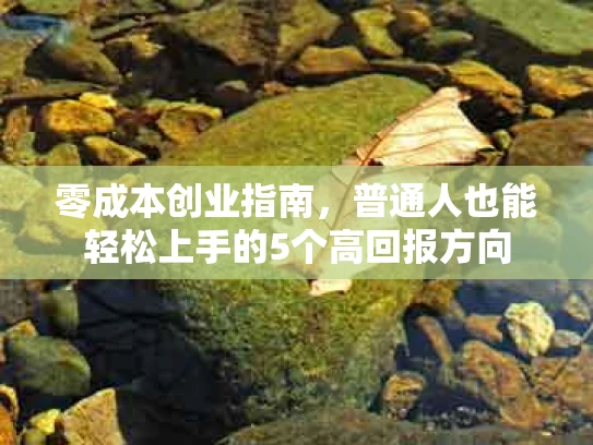 零成本创业指南，普通人也能轻松上手的5个高回报方向