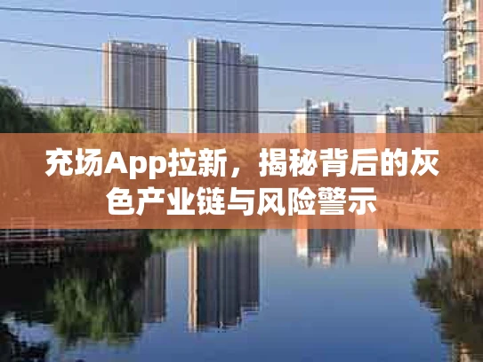 充场App拉新，揭秘背后的灰色产业链与风险警示