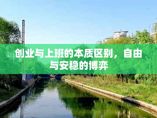 创业与上班的本质区别，自由与安稳的博弈