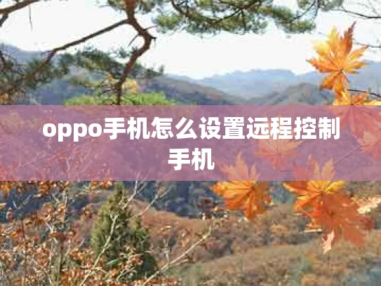 oppo手机怎么设置远程控制手机
