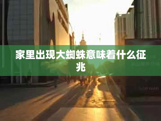 家里出现大蜘蛛意味着什么征兆