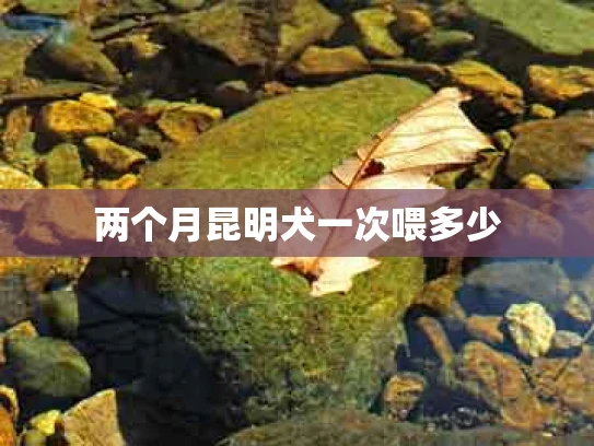 两个月昆明犬一次喂多少