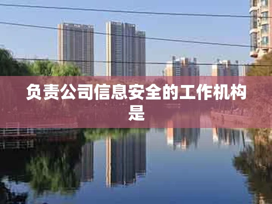 负责公司信息安全的工作机构是