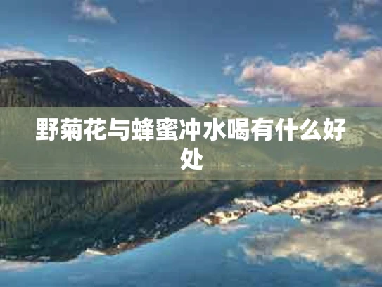 野菊花与蜂蜜冲水喝有什么好处