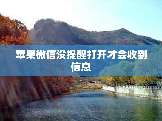 苹果微信没提醒打开才会收到信息