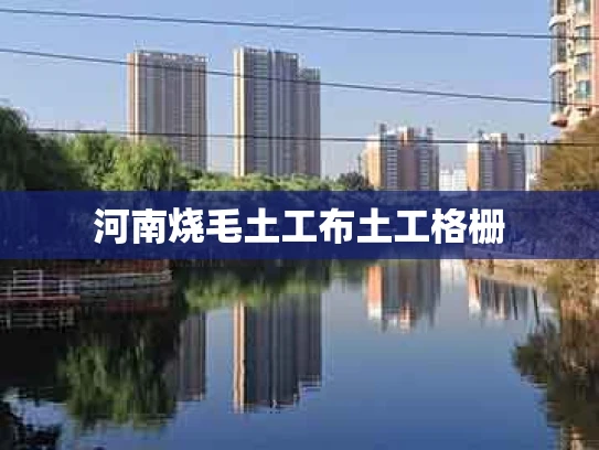 河南烧毛土工布土工格栅