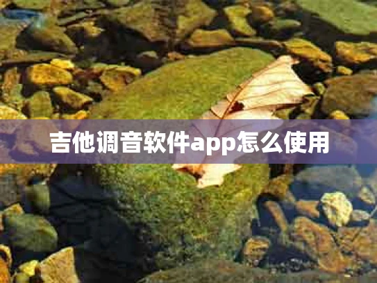 吉他调音软件app怎么使用