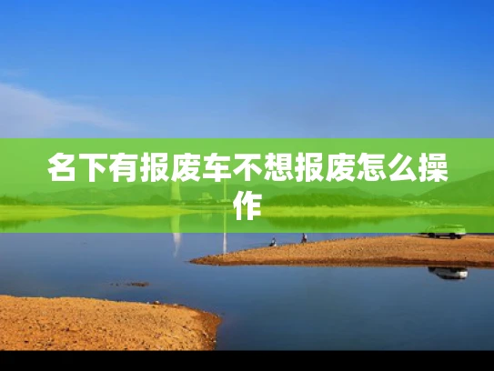 名下有报废车不想报废怎么操作