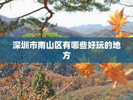 深圳市南山区有哪些好玩的地方