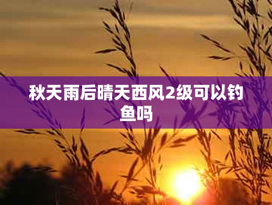 秋天雨后晴天西风2级可以钓鱼吗