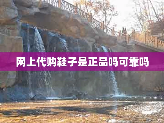网上代购鞋子是正品吗可靠吗