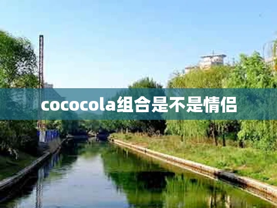 cococola组合是不是情侣