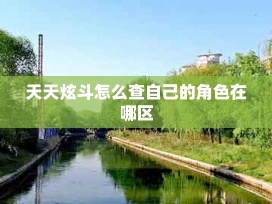 天天炫斗怎么查自己的角色在哪区