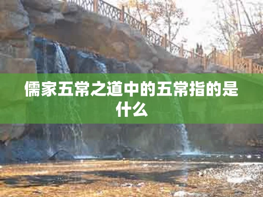 儒家五常之道中的五常指的是什么