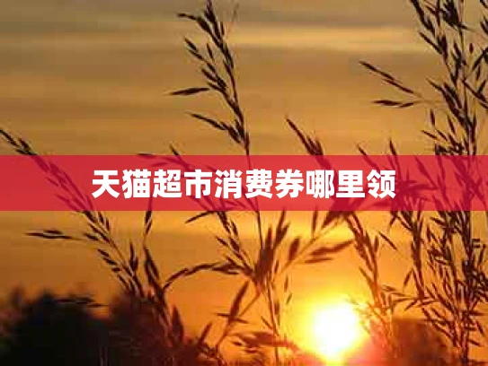 天猫超市消费券哪里领