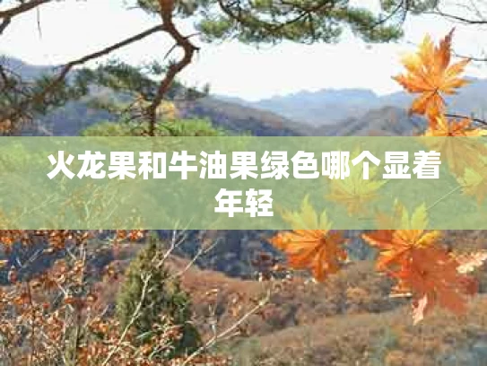 火龙果和牛油果绿色哪个显着年轻