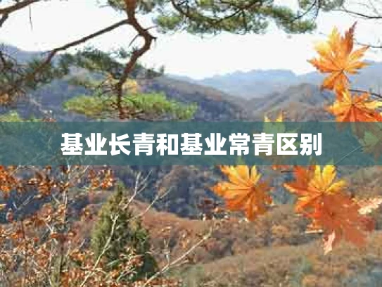 基业长青和基业常青区别