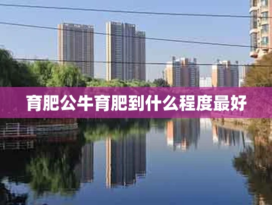 育肥公牛育肥到什么程度最好