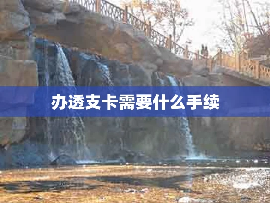 办透支卡需要什么手续