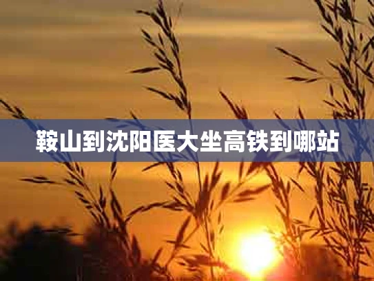 鞍山到沈阳医大坐高铁到哪站