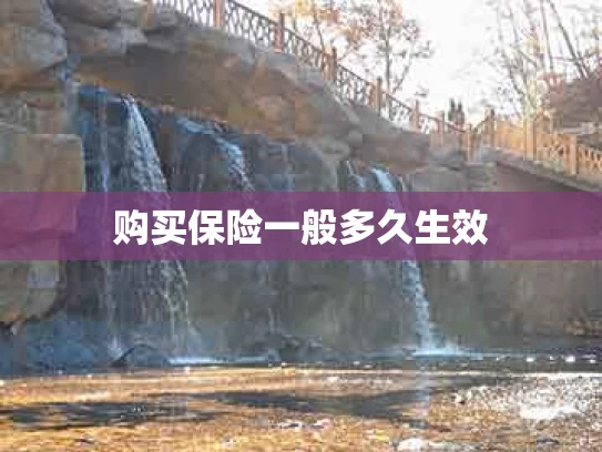 购买保险一般多久生效