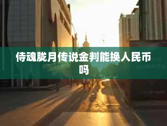 侍魂胧月传说金判能换人民币吗