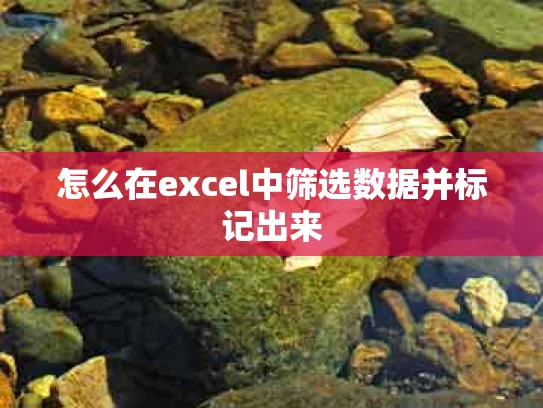 怎么在excel中筛选数据并标记出来