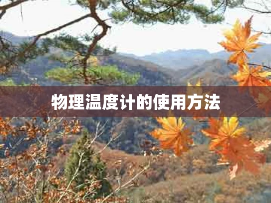 物理温度计的使用方法